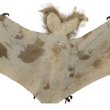 Chauve-souris d'Halloween 60cm