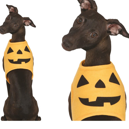 Animaux d'Halloween Costume Citrouille Mascotte