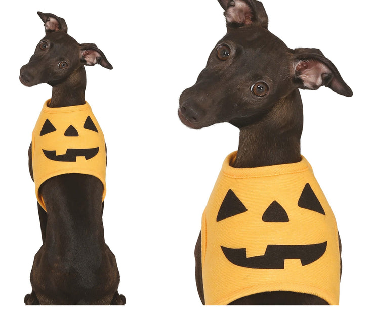 Animaux d'Halloween Costume Citrouille Mascotte