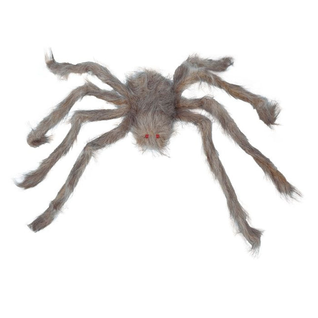 Halloween Spider Grey 70cm