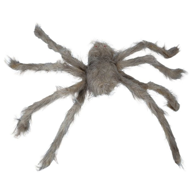 Halloween Spider Grey 70cm