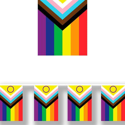 Guirlande de drapeaux arc-en-ciel inclusifs, 30x20 cm, 2.5m.