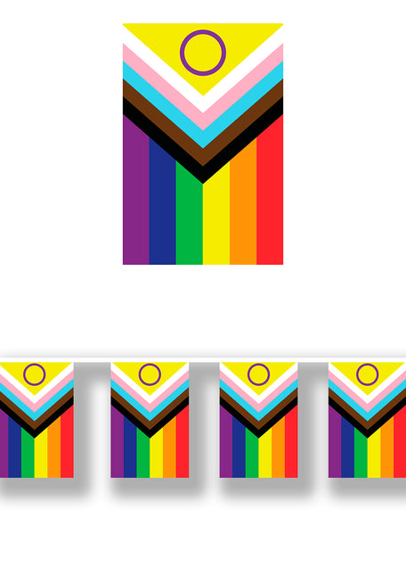 Guirlande de drapeaux arc-en-ciel inclusifs, 30x20 cm, 2.5m.