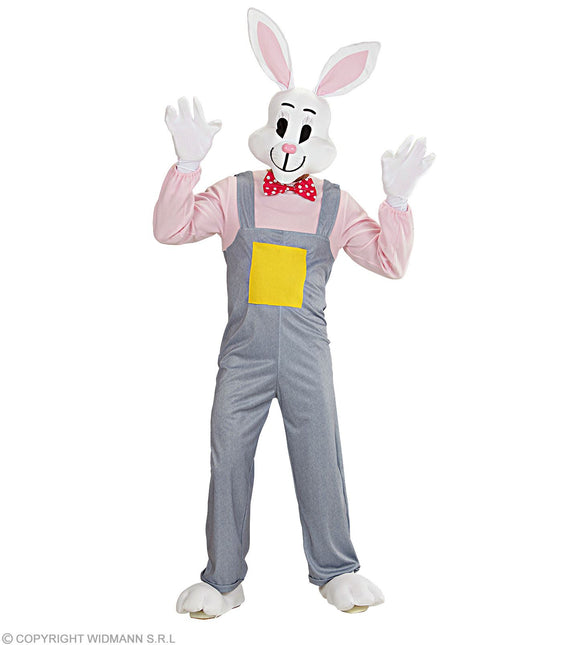 Costume de lapin