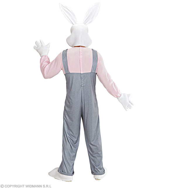 Costume de lapin