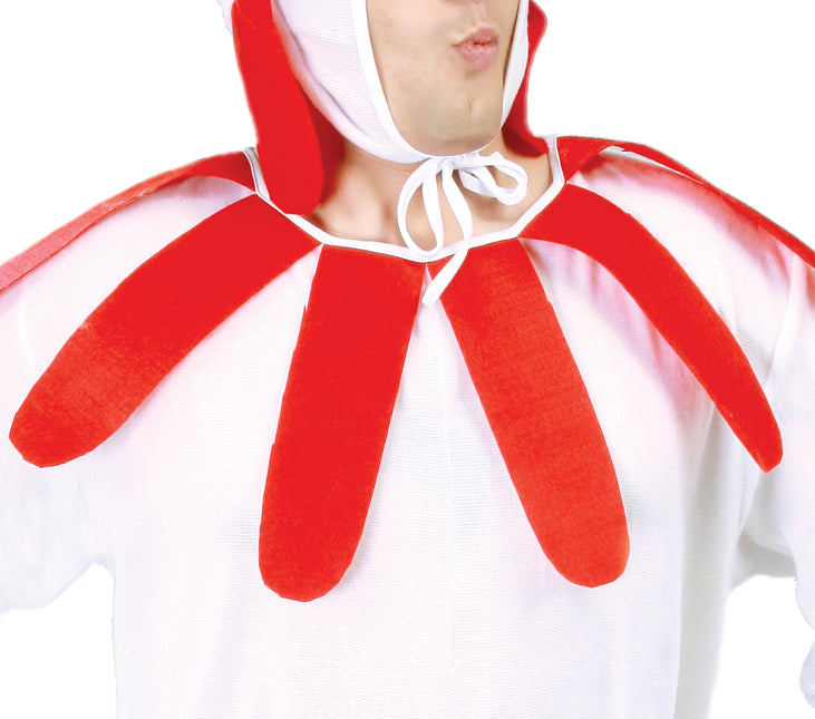 Costume de poulet blanc