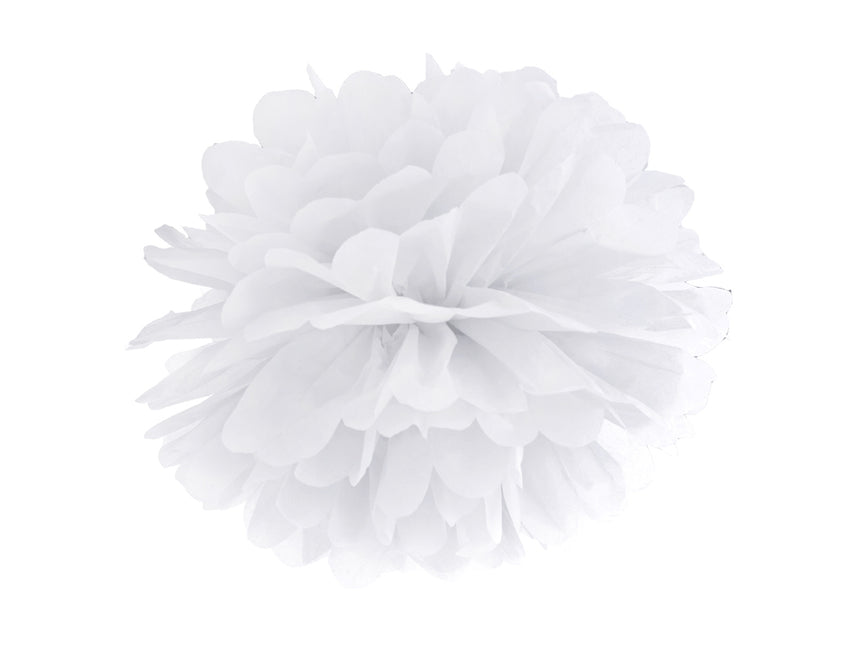 Pompon blanc 25cm