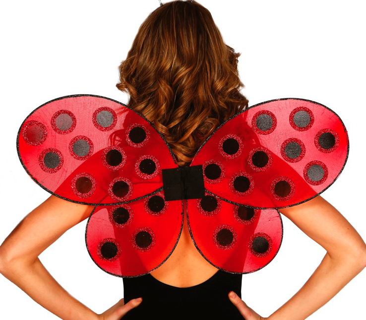 Ailes de coccinelle 52cm