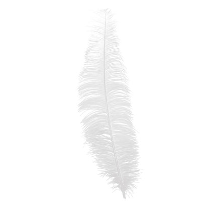 Plumes d'autruche blanches 40cm 12pcs