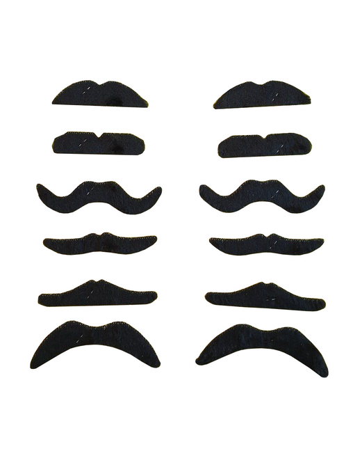 Moustaches 12pcs