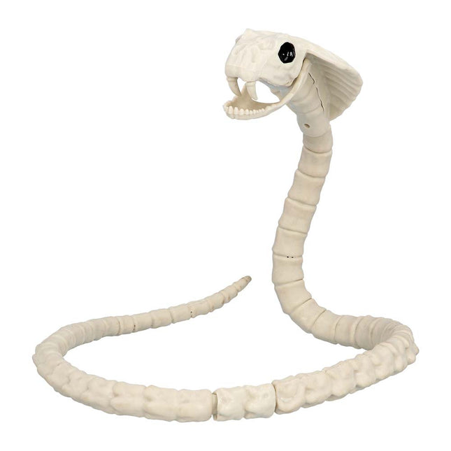 Halloween Squelette serpent 102cm