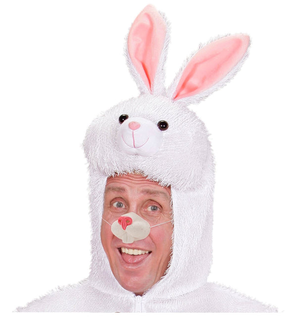 Faux nez de lapin