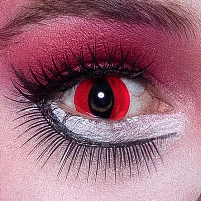 Lentilles de couleur rouge Chat