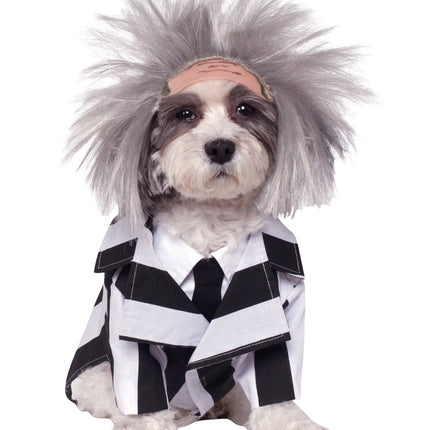 Costume de chien Beetlejuice