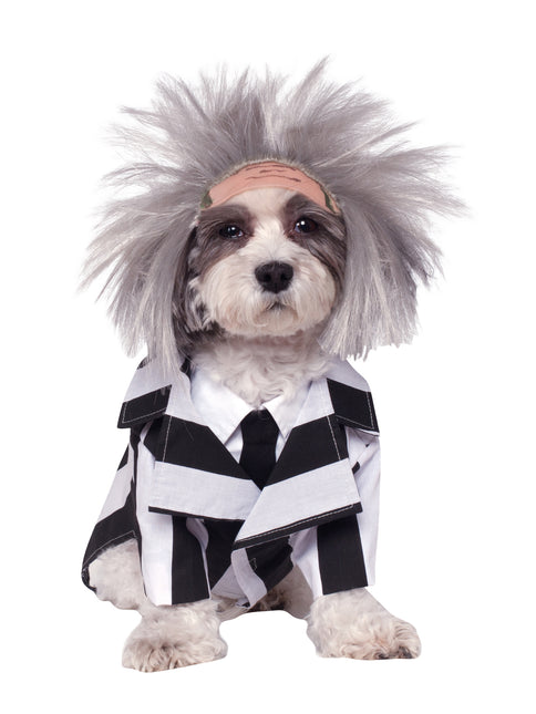 Costume de chien Beetlejuice