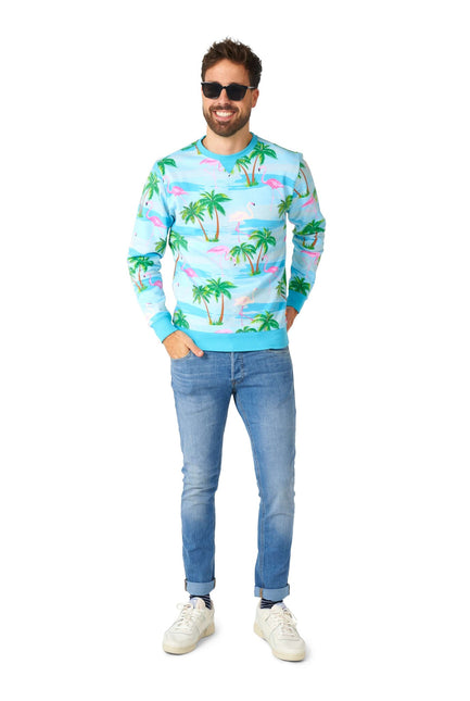 Pull Hawaii Flamingo Hommes OppoSuits