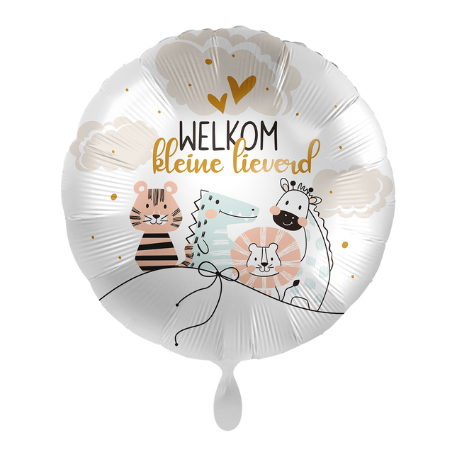 Ballon à l'hélium Bienvenue petite chérie