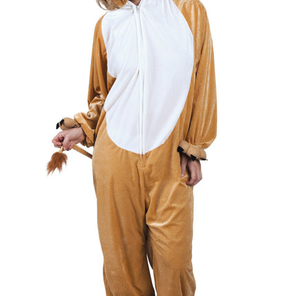 Costume de lion