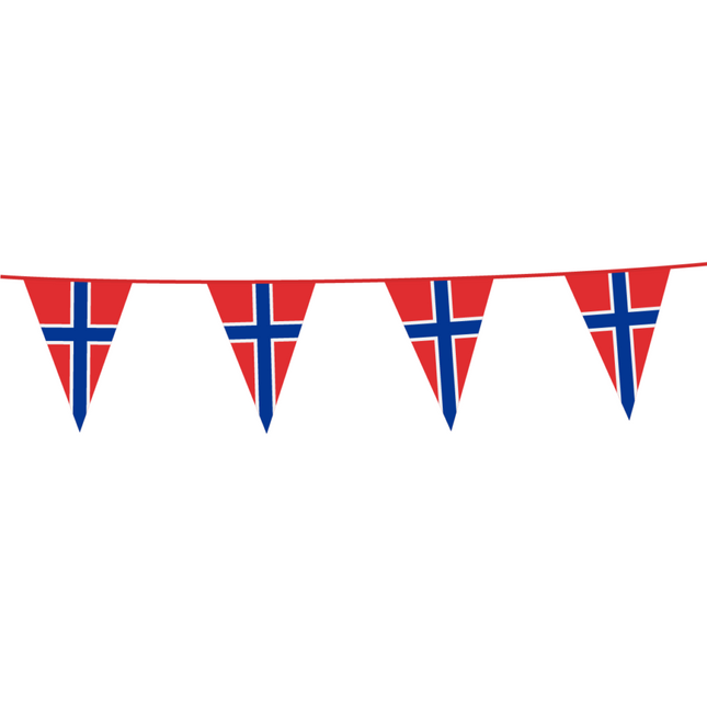 Ligne de drapeau Norvège 10m