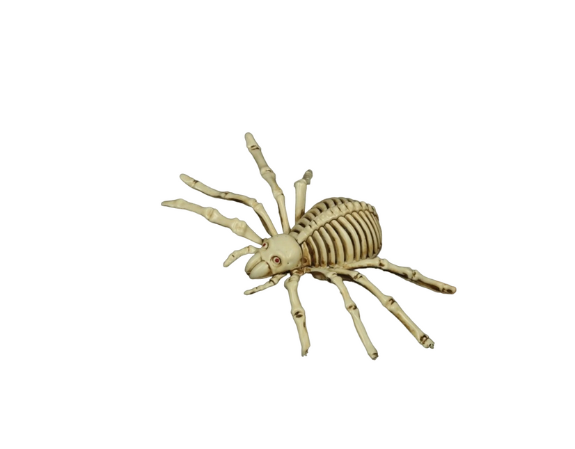 Halloween Spider Skeleton 24cm