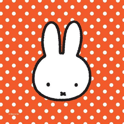 Serviettes de table Miffy Décoration 25cm 20pcs