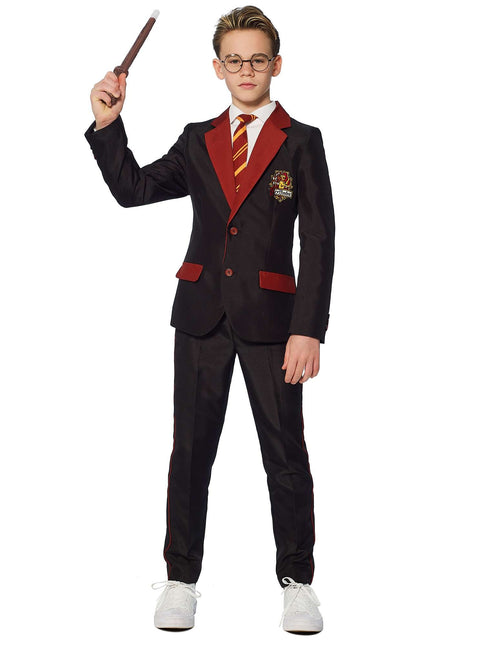 Costume Harry Potter Garçon Gryffondor