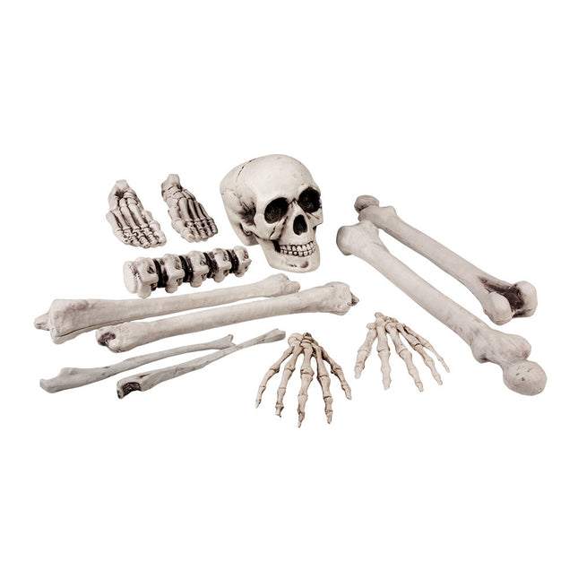Halloween Squelette 12 pièces