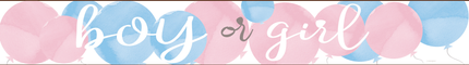 Gender Reveal Banner Boy Or Girl 2.74m