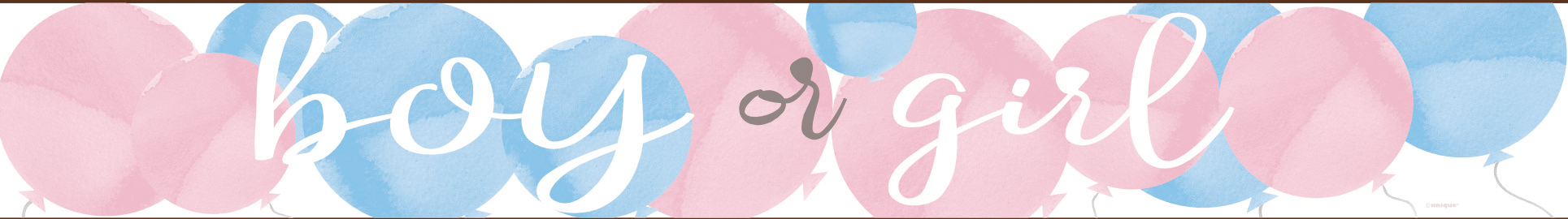 Gender Reveal Banner Boy Or Girl 2.74m