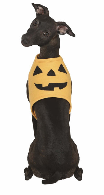 Halloween Costume d'animal Citrouille