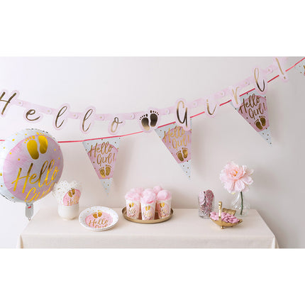 Guirlande de lettres de naissance Hello Girl ! 1,43m