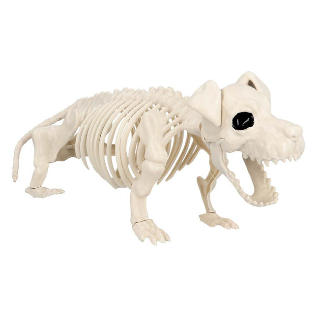 Halloween Chien Squelette 52cm