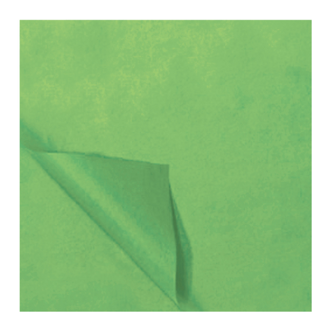 Papier de soie vert clair 50x70cm 5pcs