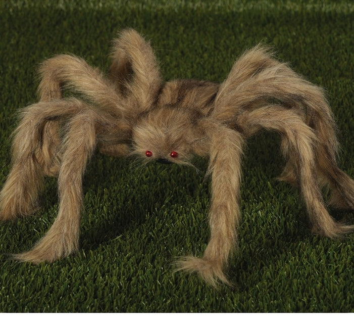 Halloween Spider Grey 70cm