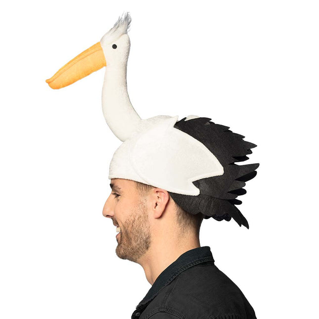 Cigogne à chapeau