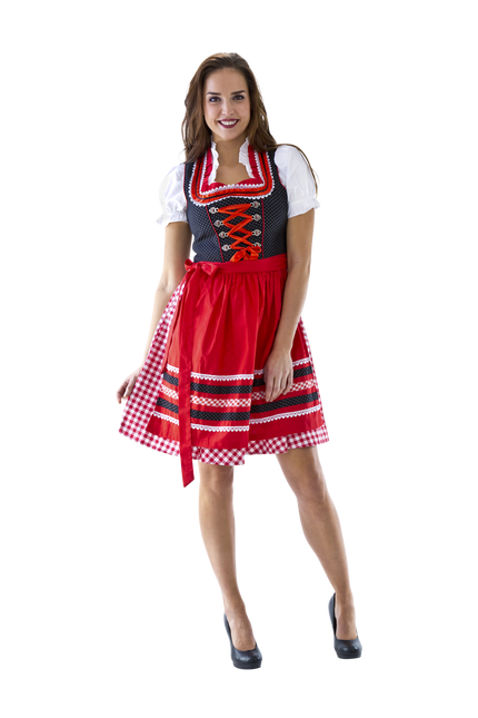 Rouge Blanc Robe Dirndl Oktoberfest Dames à carreaux