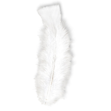 Plumes blanches 50pcs