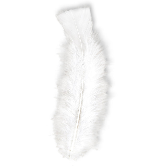 Plumes blanches 50pcs