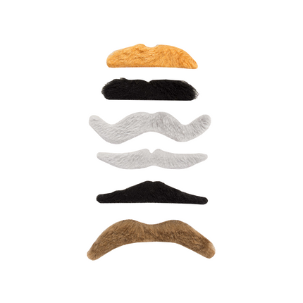 Moustaches 6pcs