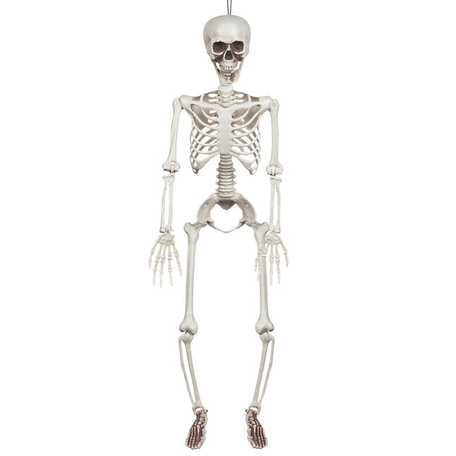 Halloween Squelette Blanc 90cm