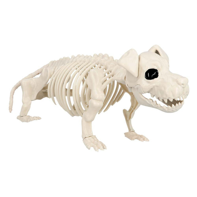 Halloween Chien Squelette 52cm