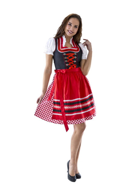 Rouge Blanc Robe Dirndl Oktoberfest Dames à carreaux