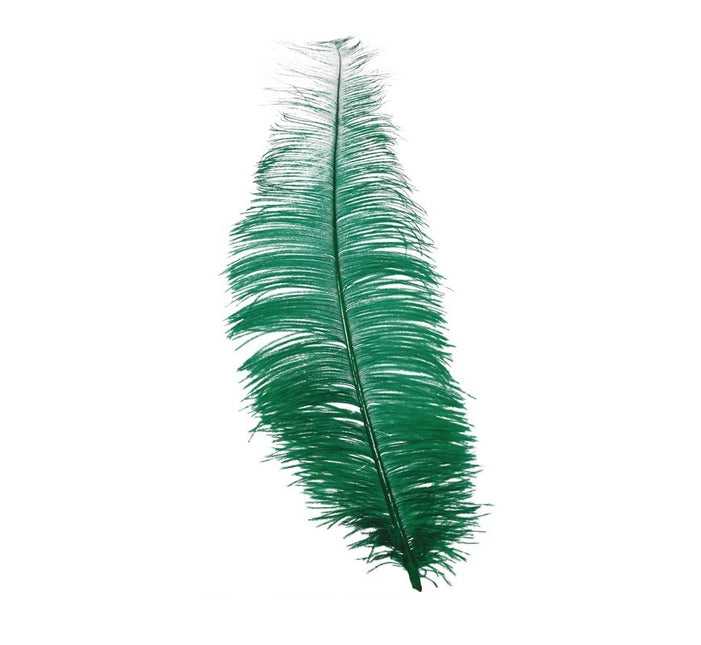 Plumes d'autruche vertes 30cm 12pcs