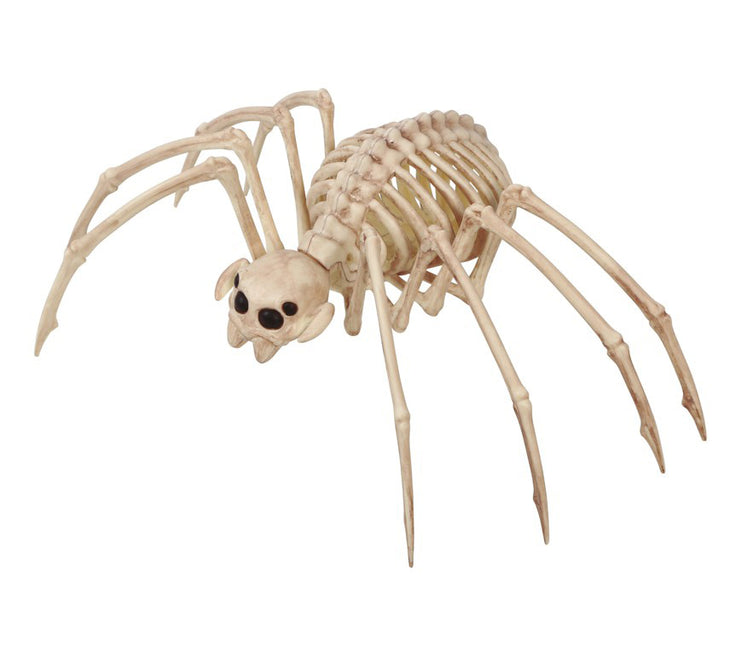 Halloween Tarentule Squelette 35x20cm