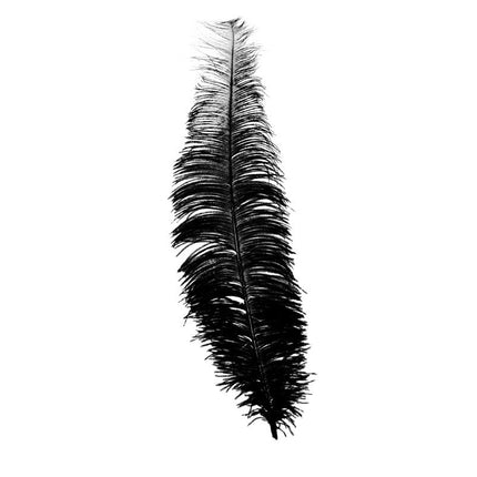 Plumes d'autruche noires 40cm 12pcs