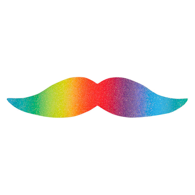 Moustache fantaisie arc-en-ciel 6 pièces