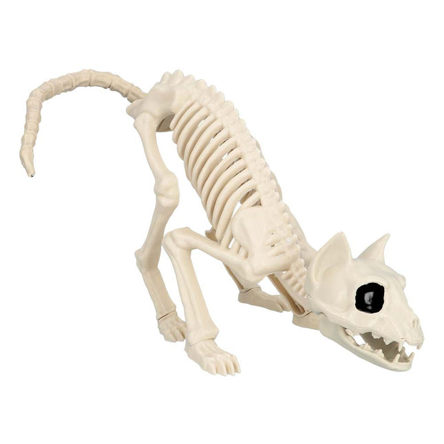 Halloween Squelette de chat 51cm