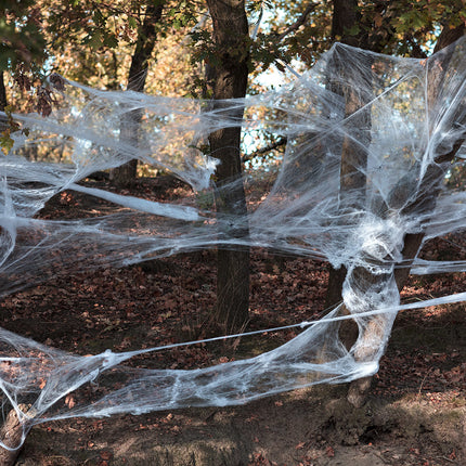 Ensemble d'araignées d'Halloween 26 pièces