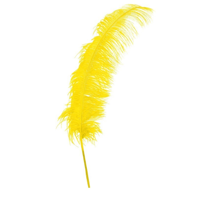 Plumes d'autruche jaunes 50cm 12pcs