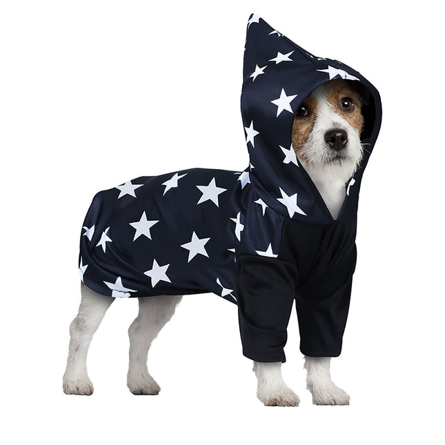 Costume de magicien pour chien